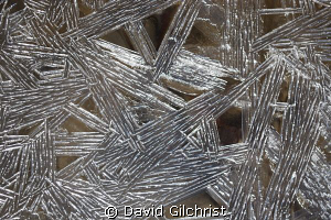 Ice Crystals, Was photographing some divers at the Wellan... by David Gilchrist 
